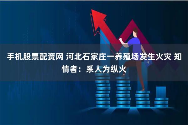 手机股票配资网 河北石家庄一养殖场发生火灾 知情者：系人为纵火